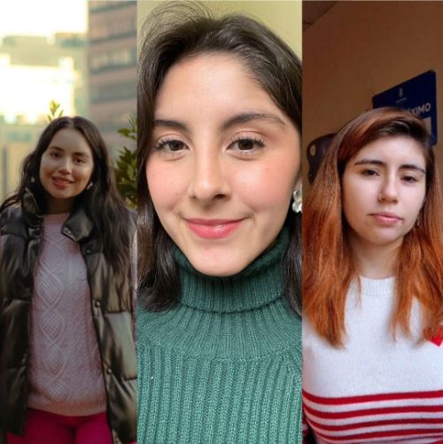 El rol de la ciencia en la implementación de la Ley Marco de Cambio Climático: estudiantes del Magíster en Gestión y Desarrollo Regional y Local aportan desde la investigación aplicada