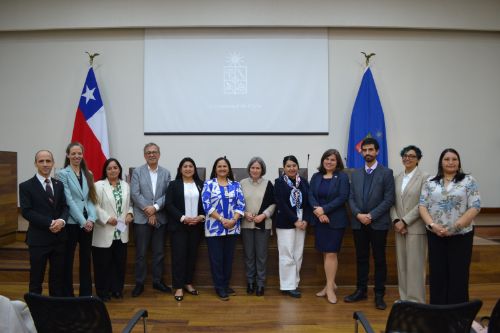 Mujeres mapuche y paz duradera: el enfoque de género que desafía al Informe de la Comisión para la Paz y el Entendimiento