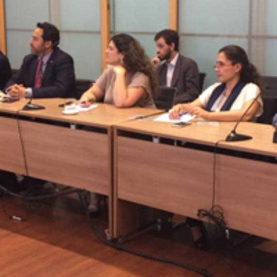 Prof. Olga Espinoza integra Consejo Asesor de Escuela de Gendarmería