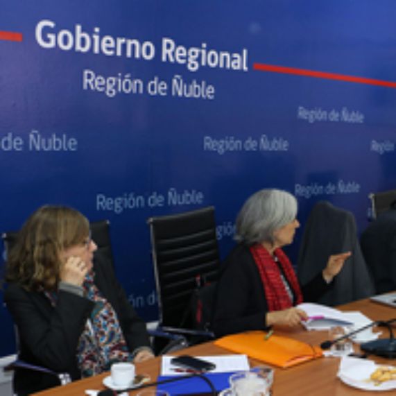 INAP se adjudica elaboración de la Estrategia Regional del Ñuble